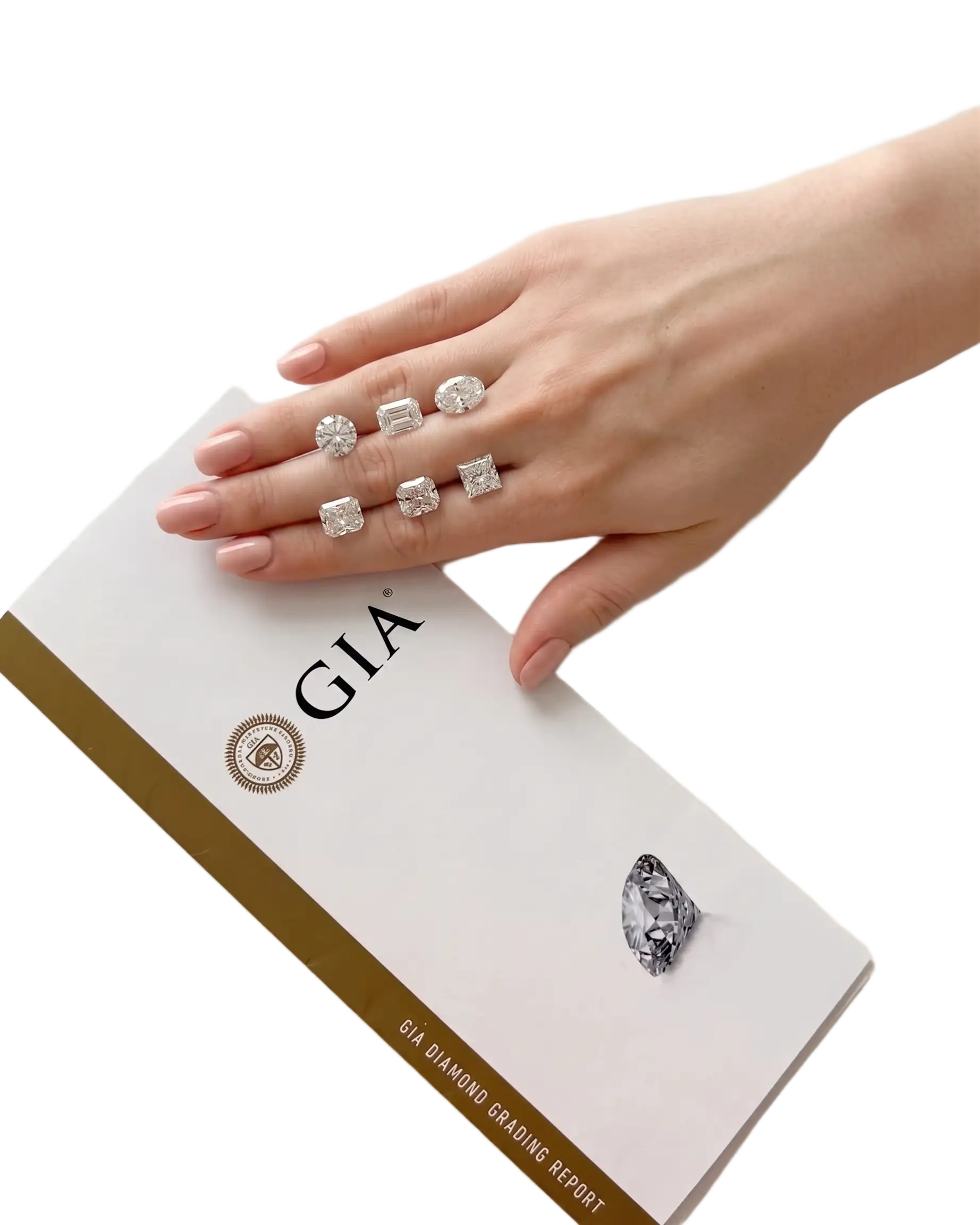 Windsor Diamonds Jewellery